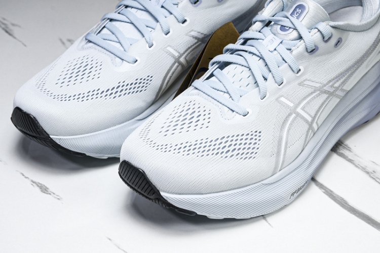 Asics Gel-kayano 31 1012B670-021