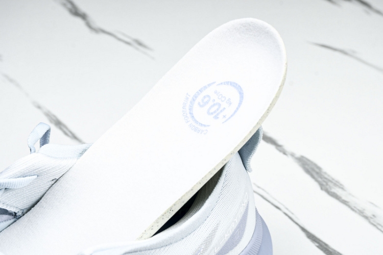 Asics Gel-kayano 31 1012B670-021
