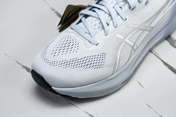 Asics Gel-kayano 31 1012B670-021 
