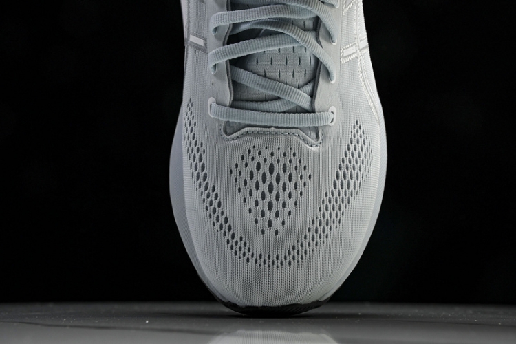 Asics Gel-kayano 31 1012B670-021
