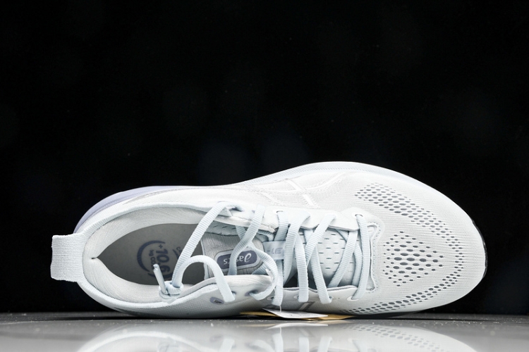 Asics Gel-kayano 31 1012B670-021