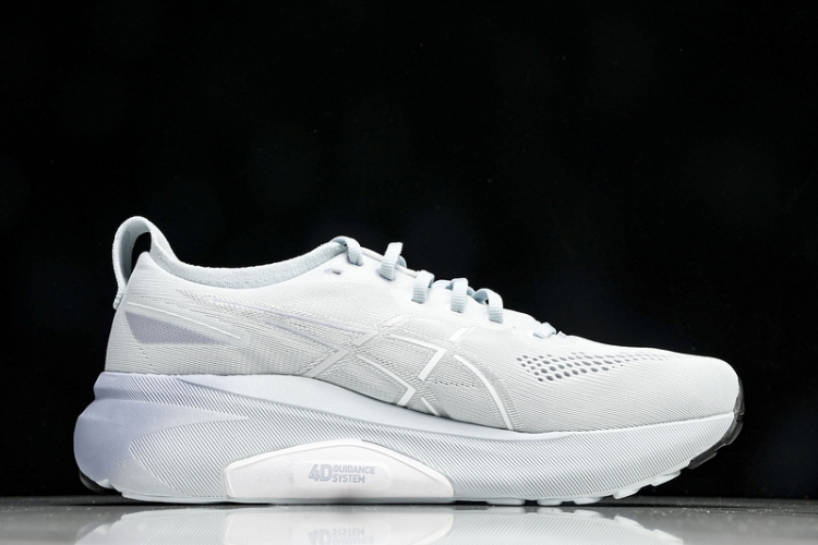 Asics Gel-kayano 31 1012B670-021
