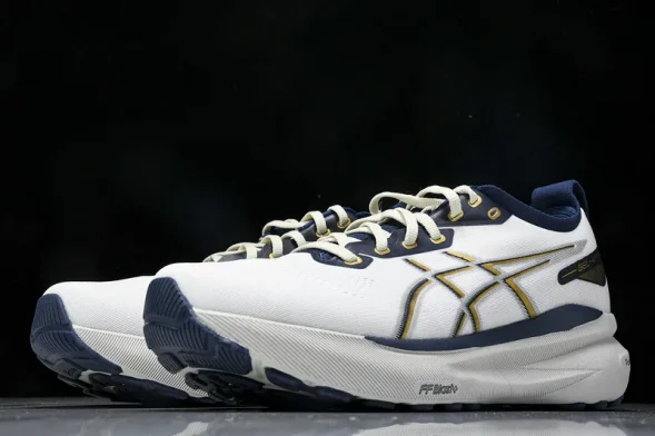 Asics Gel-kayano 31 1011B955-100 
