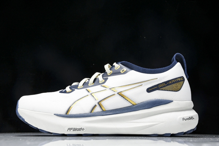 Asics Gel-kayano 31 1011B955-100