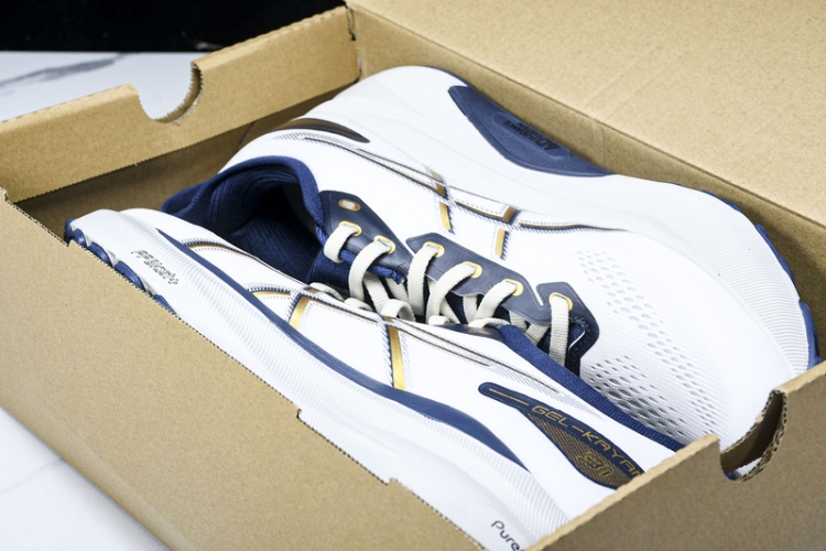 Asics Gel-kayano 31 1011B955-100