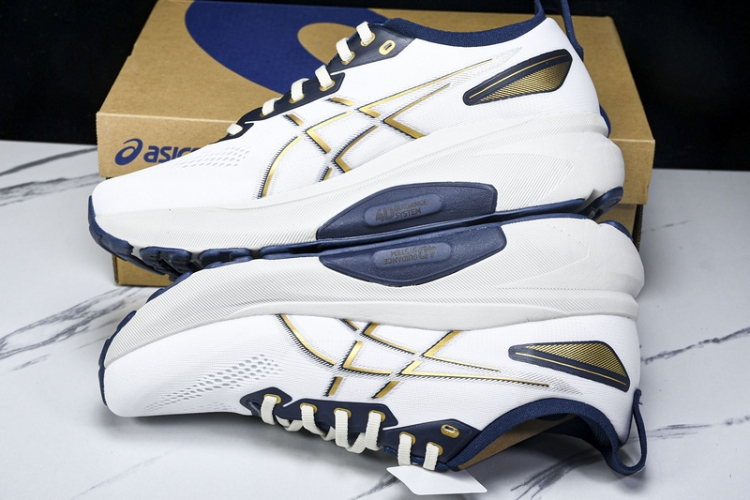 Asics Gel-kayano 31 1011B955-100