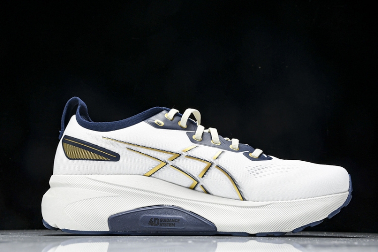 Asics Gel-kayano 31 1011B955-100