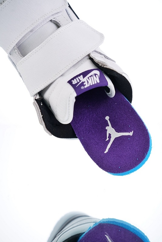 Nike Air Jordan 1 Retro Hi Double Strap “Concord” AQ7924-107