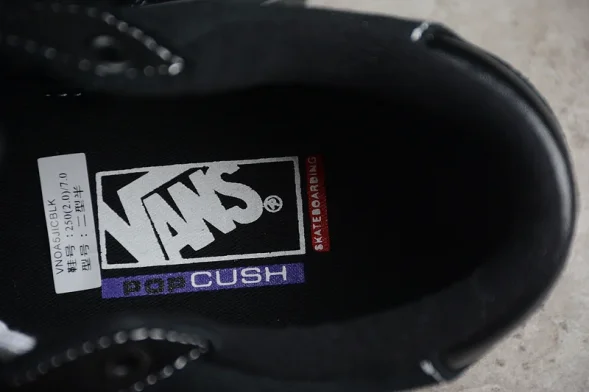 Vans Skate Rowan Pro VN0A5JICBLK 