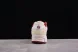 Nike Zoom Vomero 5 SP HF0737-111 