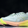 Asics Gel-kayano 31 1011B929-402