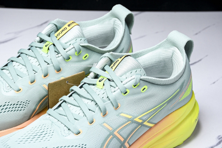 Asics Gel-kayano 31 1011B929-402