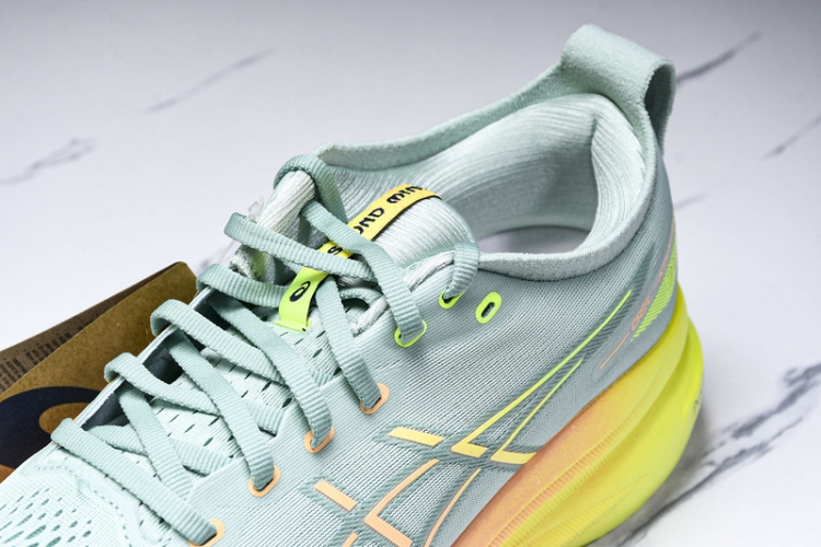 Asics Gel-kayano 31 1011B929-402