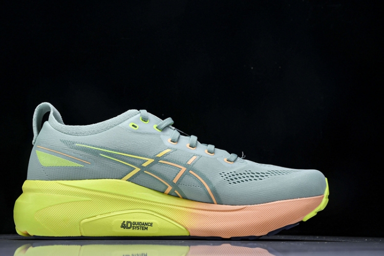 Asics Gel-kayano 31 1011B929-402