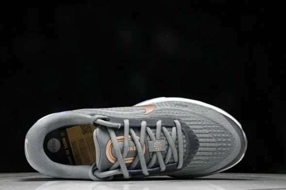 Nike Journey Run FJ7765-004 