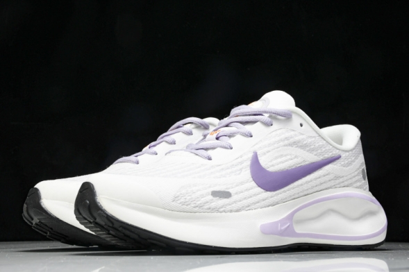 Nike Journey Run FJ7765 100 