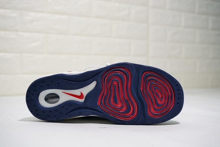 Nike Air Pippen 1 325001-403