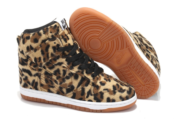 WMNS Nike Dunk Sky Hi SB