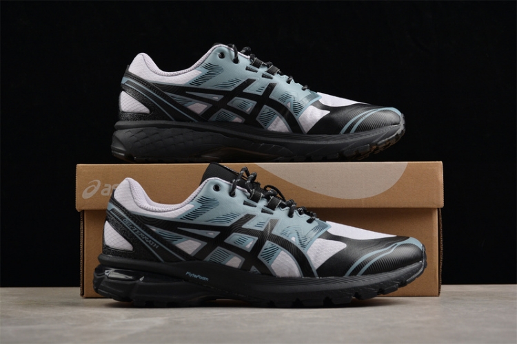 Asics Gel-Terrain 1203A342-500