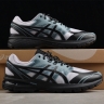 Asics Gel-Terrain 1203A342-500