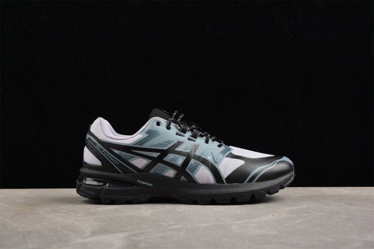 Asics Gel-Terrain 1203A342-500