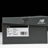  New Balance 1906 M1906NG1