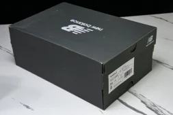 New Balance 1906 M1906RLG 