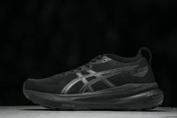 Asics Gel-kayano 31 1012B867-001