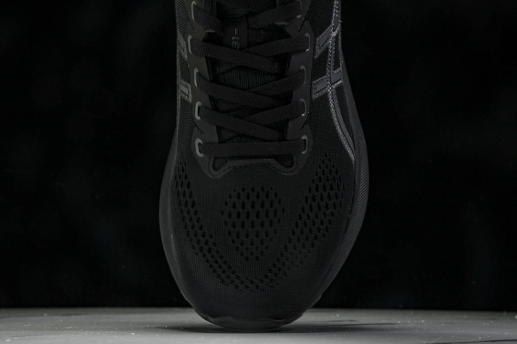 Asics Gel-kayano 31 1012B867-001