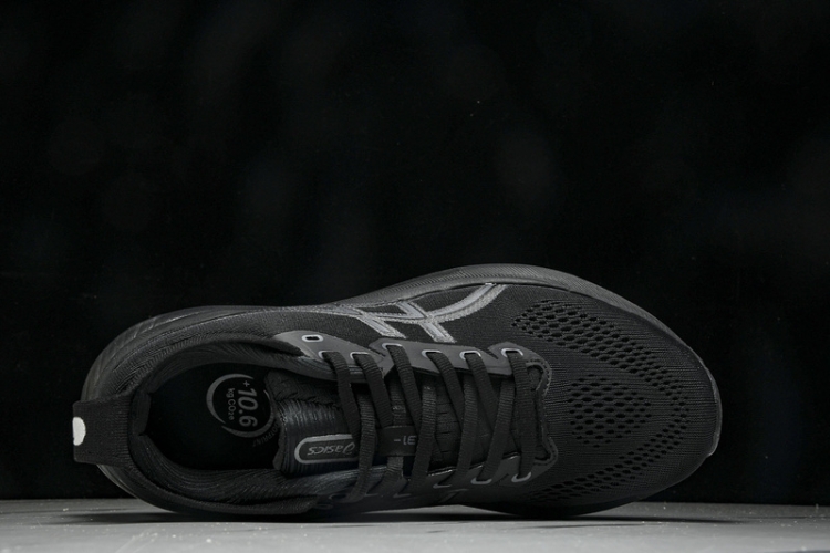 Asics Gel-kayano 31 1012B867-001