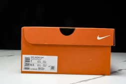 Nike Journey Run FJ7765 102