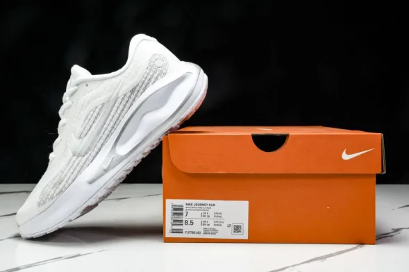 Nike Journey Run FJ7765 102 