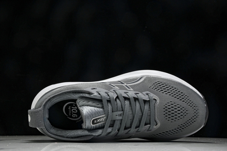 Asics Gel-kayano 31 1012B671-020 