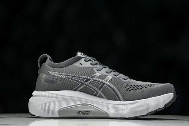 Asics Gel-kayano 31 1012B671-020 