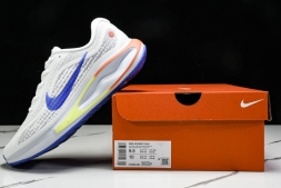 Nike Journey Run HJ9290-085