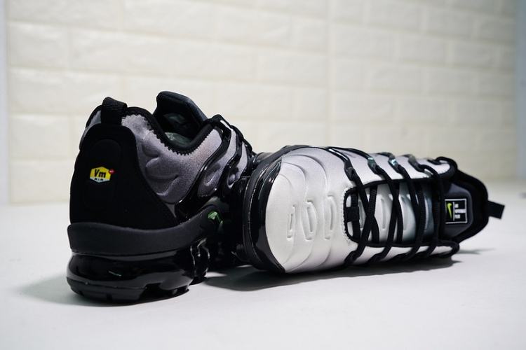 Nike Air VaporMax TN Plus 24453-009