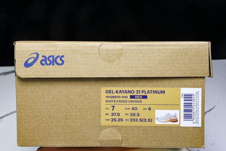 Asics Gel-kayano 31 1012B670-100