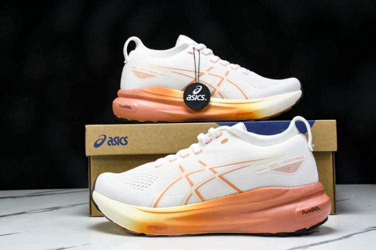 Asics Gel-kayano 31 1012B670-100