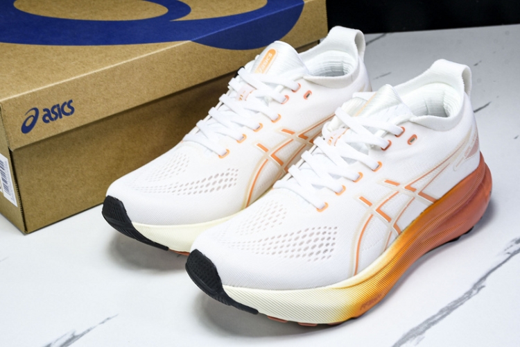 Asics Gel-kayano 31 1012B670-100