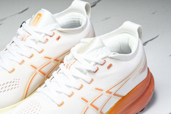 Asics Gel-kayano 31 1012B670-100 