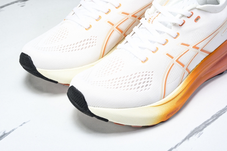 Asics Gel-kayano 31 1012B670-100