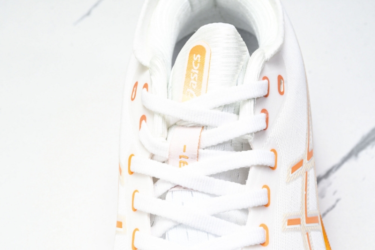 Asics Gel-kayano 31 1012B670-100