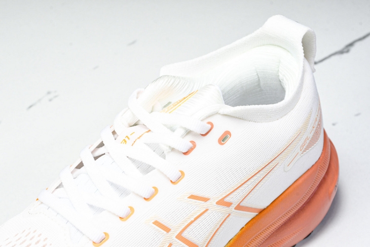 Asics Gel-kayano 31 1012B670-100