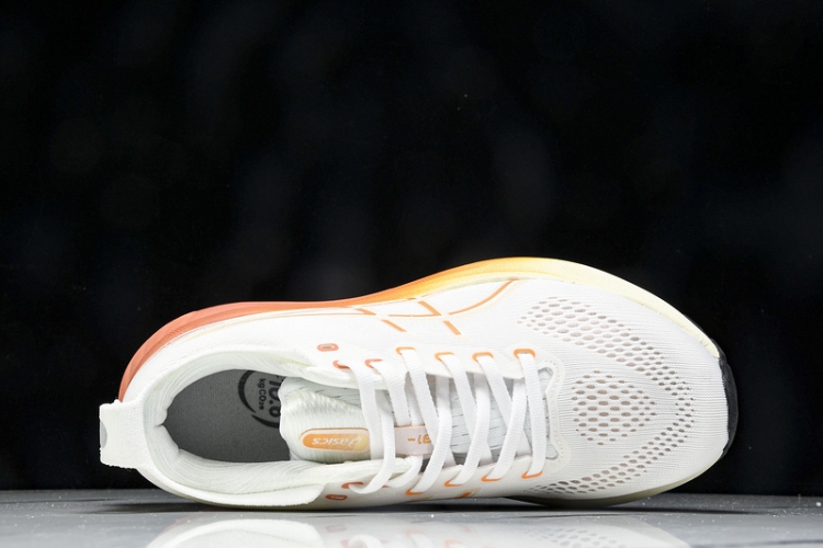 Asics Gel-kayano 31 1012B670-100