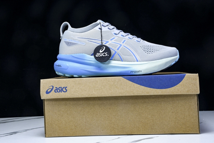 Asics Gel-kayano 31 1012B670-022