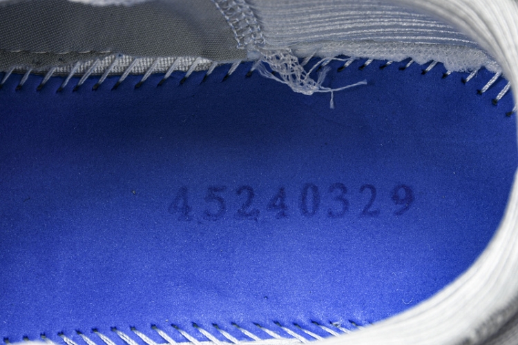 Asics Gel-kayano 31 1012B670-022