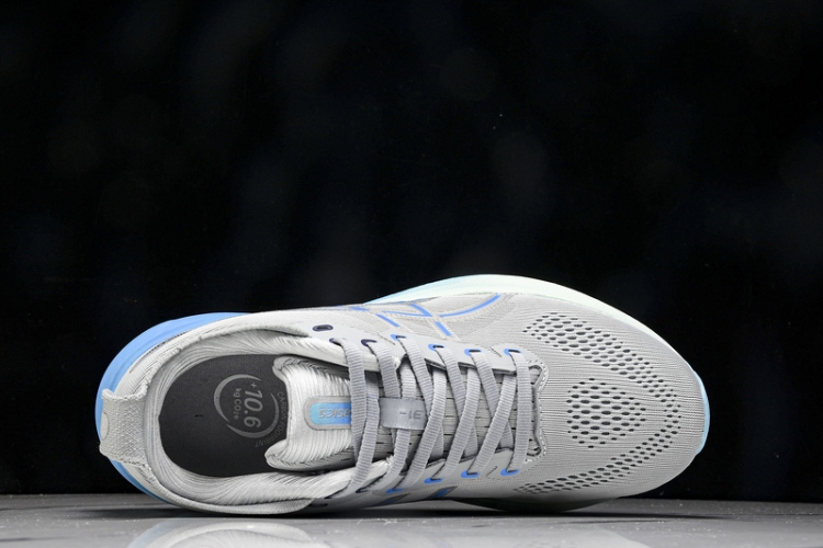 Asics Gel-kayano 31 1012B670-022