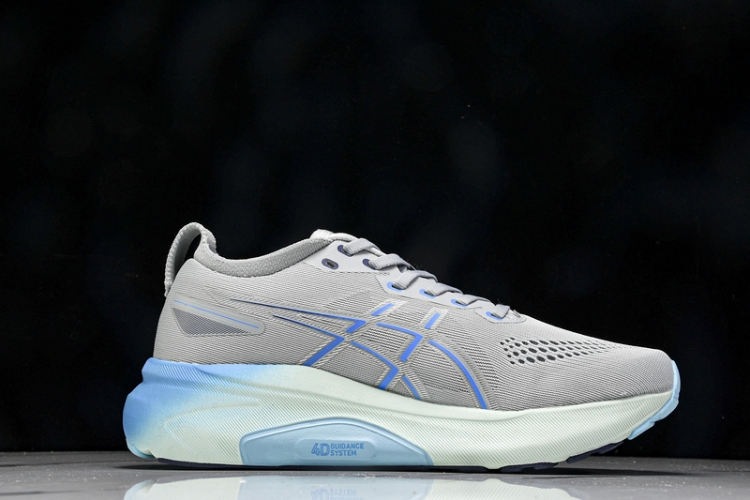 Asics Gel-kayano 31 1012B670-022