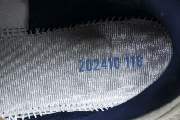 Mizuno Astro Plus D1GH240103 