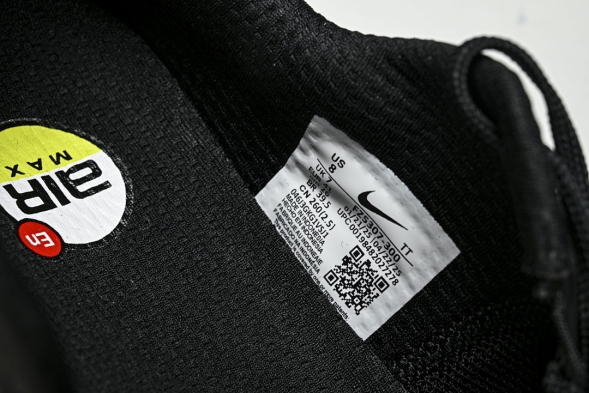 Nike Air Max Phoenix FZ5307-300 